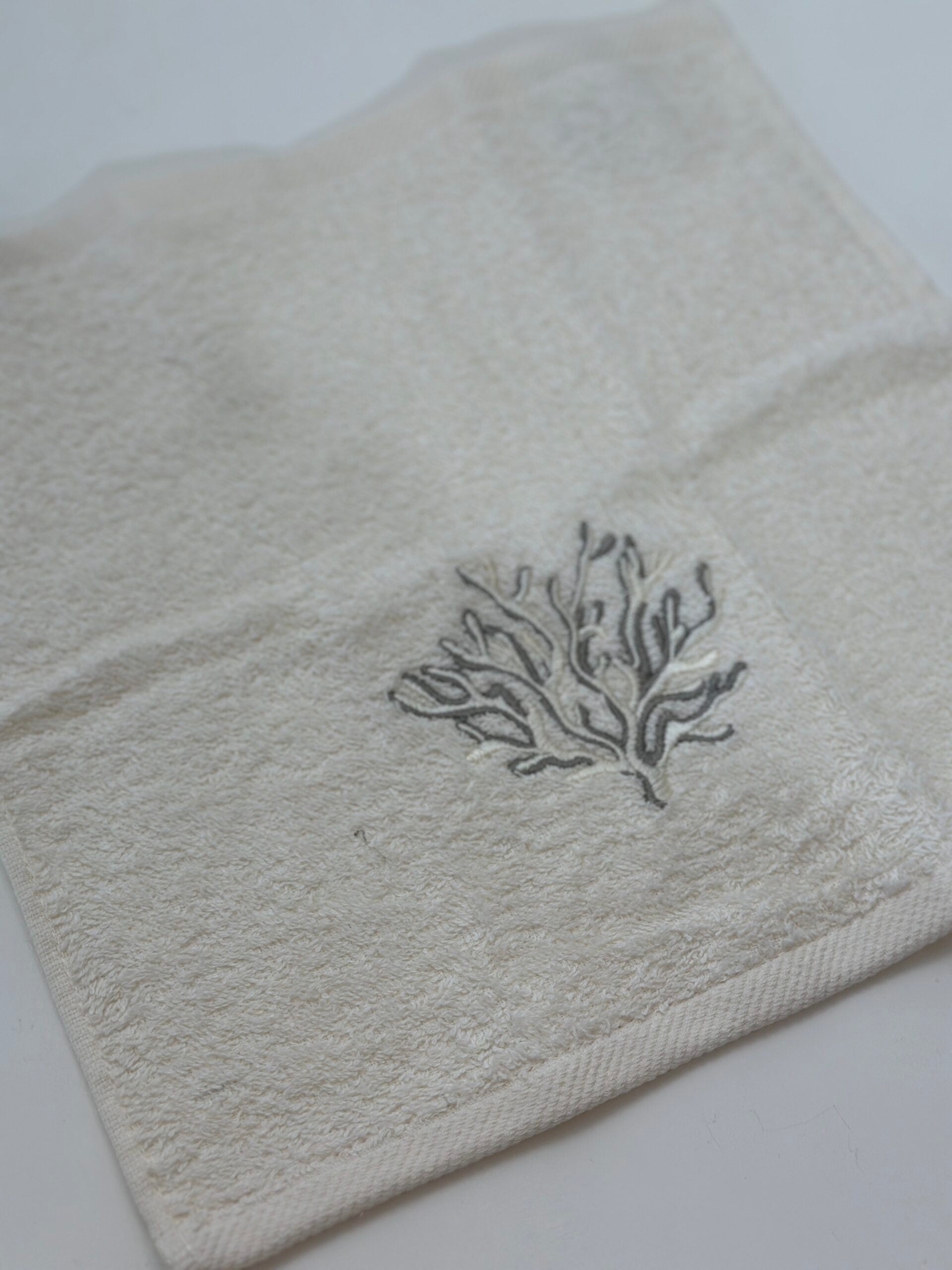 Lavette corallo Mediterraneo