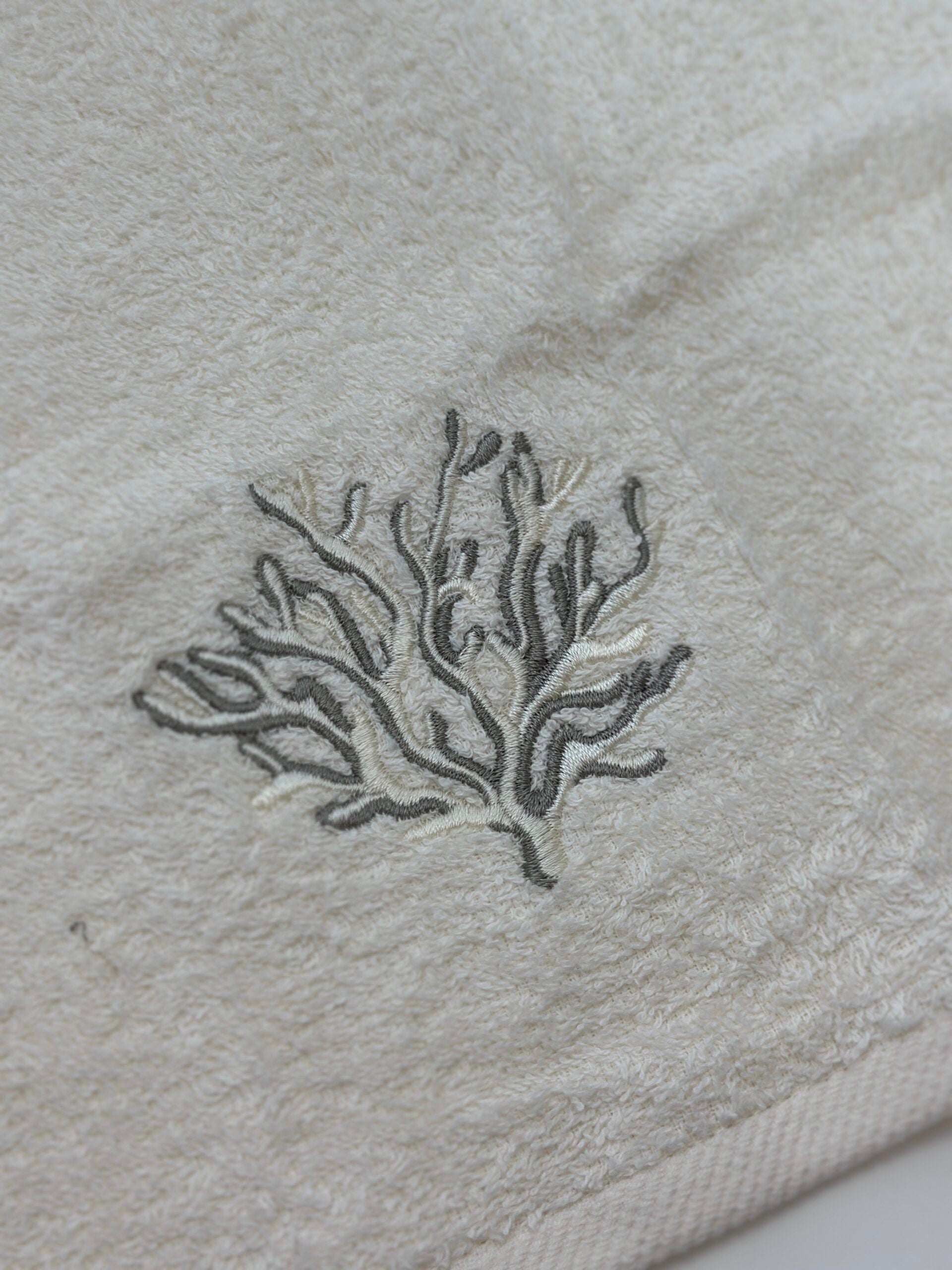 Lavette corallo Mediterraneo